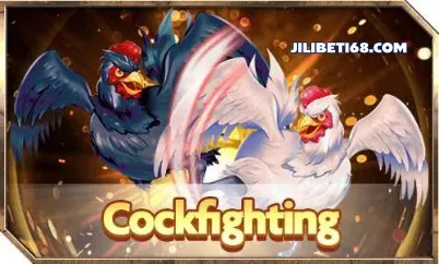 Cockfighting